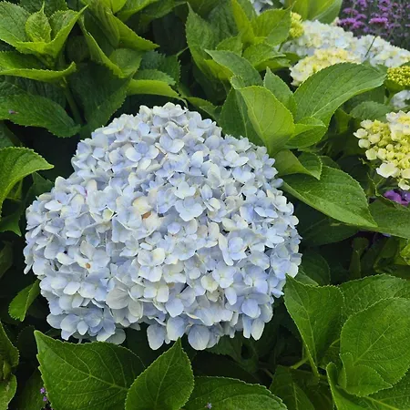 East-side Сasa de vacaciones Kampen