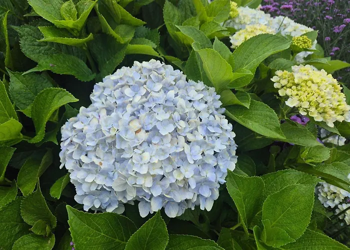 East-side Feriehus Kampen